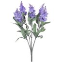 Ver imagem 1 de Buque Lavanda 5 Galhos Lavanda