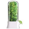 Herbario Dispenser Conserva Ervas Frescas Salsa Alface Alecrim Hortela Vegetais Legumes Recipiente G - 6