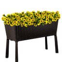 Ver imagem 3 de 9 Flores Permanentes Girassol Amarela Decorações e Enfeites Festas, Eventos e Casa de Alta Qualidade