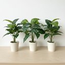 Ver imagem 1 de 3 Mini Plantas Artificiais Filodendro 55cm Verde Natural para Vasos Decorativos