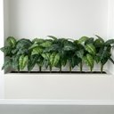Ver imagem 7 de 3 Mini Plantas Artificiais Filodendro 55cm Verde Natural para Vasos Decorativos