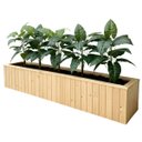 Ver imagem 5 de 3 Mini Plantas Artificiais Filodendro 55cm Verde Natural para Vasos Decorativos