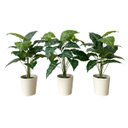 Ver imagem 4 de 3 Mini Plantas Artificiais Filodendro 55cm Verde Natural para Vasos Decorativos