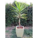 Ver imagem 5 de Vaso Planta 45x35 Moderno Trapézio Polietileno - AREIA 001