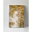 Ver imagem 1 de Tela em Canvas 089