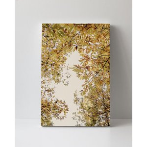 Tela em Canvas 089