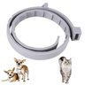 Coleira Anti Pulga Cachorro Cao Pet Gato Kit 2uni Carrapato Leishmaniose Felino Canino Tamanho Ajust - 7