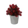 Vaso Vasinho Decorativo Suculenta Planta Artificial Cor 16 - 1