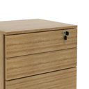 Ver imagem 6 de Gaveteiro Arquivo com Chave e Rodízios Multimóveis Cr25045 Amêndoa