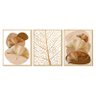 Kit 3 Quadros Decorativos Delicados para Cozinha Moldura Caixa Folhas Tons Bege - 4