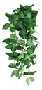 Ver imagem 3 de Kit 2 Planta Artificial Jiboia Ornamental Exótica Cultivo