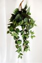 Ver imagem 2 de Kit 2 Planta Artificial Jiboia Ornamental Exótica Cultivo