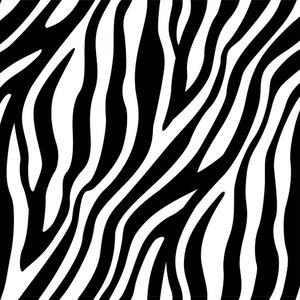 Papel de Parede Decorativo Temático Zebra Preto Branco 2,5m
