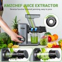 Ver imagem 7 de Amzchef Juicer Centrífuga com Triturador Espiral, Motor Silencioso (pálido)