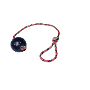 Brinquedo para Cães Bola Agility Lisa Guia Cristal 65mm