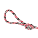 Ver imagem 4 de Brinquedo para Cães Bola Agility Lisa Guia Cristal 65mm