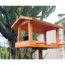 Ver imagem 3 de Casinha Passarinho Comedouro Tratador Madeira Bandeja 34x50