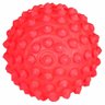 Bolas Bolinha Anti Stress Cravo Fisioterapia Massageadora - 2
