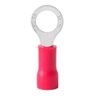 500un Terminal Anel Rv1.25-5 Vermelho Pré Isolado 0,5-1,5mm - 1