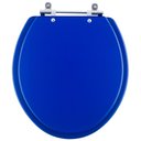 Ver imagem 1 de Tampa de Vaso Convencional / Oval Azul para Todos Os Fabricantes de Louças