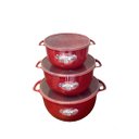 Ver imagem 1 de Kit 03 Vasilhas Bacias Livre de Bpa com Tampa Vermelho