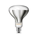 Ver imagem 1 de Kit com 5 Lâmpadas de Secagem Infra Vermelho Aviário Aquecimento 250w 220v - Lumanti