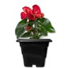 Vaso Plástico Quadrado Pote Grande 10L Cultivo Mudas Flores - 4