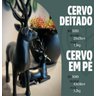 Cervo Premium Cervo em Pé - 2
