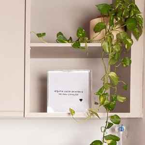 Quadro Caixa Acrílico Coração