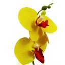 Ver imagem 1 de Orquidea Artificial Média:Amarela