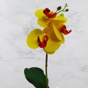 Ver imagem 2 de Orquidea Artificial Média:Amarela