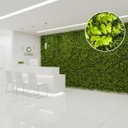 Ver imagem 2 de 16 Placas Revestimento Parede Folhas Artificiais Jardim Vertical 3d Decoração Verde