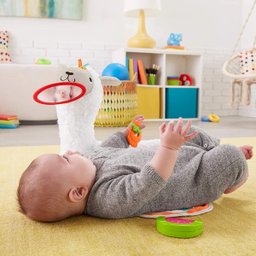 Lhama Amigável - Cresce Comigo - Ghj03 - Fisher-price - 8