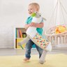 Lhama Amigável - Cresce Comigo - Ghj03 - Fisher-price - 5