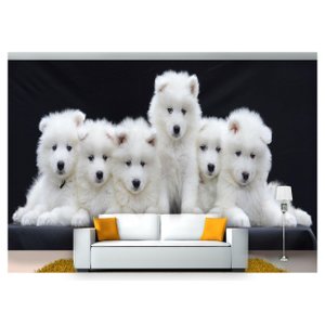 Papel De Parede Cães Filhotes Samoieda 3D Anm242