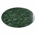 Ver imagem 4 de Mesa de Jantar Cone Freijó - Redonda 120cm - Verde Guatemala
