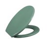 Assento Sanitário Soft Verde Astra Tpj/asvd6 0340 - 1