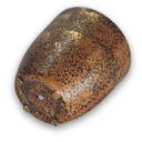 Ver imagem 4 de Vaso de Cerâmica Orquídea (9) Dourado Envelhecido Burguina