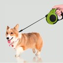 Ver imagem 3 de Guia Retrátil Passeio Pet Cachorro e Gato 3 Metros Verde