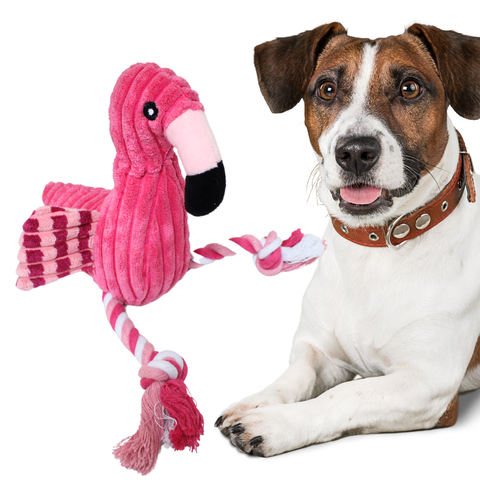 Flamingo Brinquedo Pelúcia Pet para Cachorro com Cordinha:rosa
