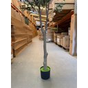 Ver mais imagens de Oliveira Artificial Realista Grande Árvore Decoração Sala 2.10 Metros