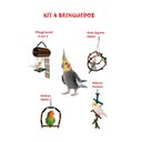 Ver imagem 1 de Balanço para Calopsita Agapornis Periquitos Kit 4 brinquedos
