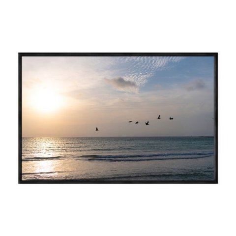 Quadro Decorativo - Passaros Mar Ceu Flnt062 - Vidro com Impressão Uv - 60x40cm