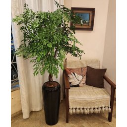 Vaso Decorativo Fibra de Vidro Florida P 65cm Preto - 1