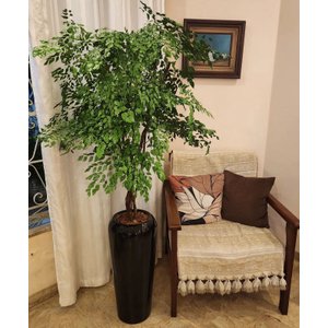 Vaso Decorativo Fibra de Vidro Florida P 65cm Preto