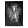 Quadro Rinoceronte Preto e Branco Moldura e Vidro Preta - 4