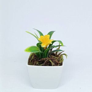 Vasinho Decorativo Quadrado com Planta Artificial Hortênsia - Amarelo