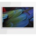 Ver imagem 2 de Quadro Penas Verdes 120x80 Cm Adesivo Fotográfico