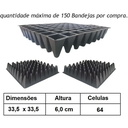 Ver imagem 1 de Kit 20 Bandeja Sementeira Para Produção De Mudas 64 Células