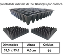 Ver imagem 1 de Kit 20 Bandeja Sementeira Para Produção De Mudas 64 Células
